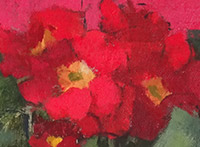 red-primula-ii