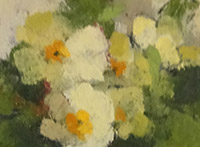 primrose thumbnail