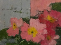 pink-stripe