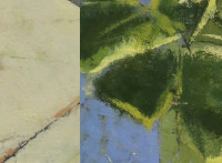 star-vase-with-leaves