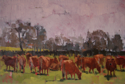 Jersey Herd