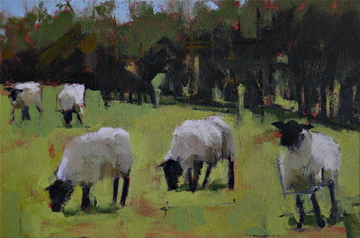 Suffolk Lambs II