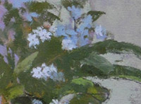 Forget me not