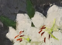 opening-lilies