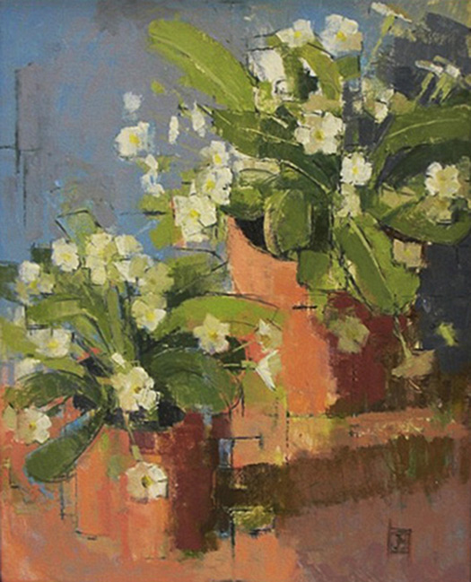 primroses